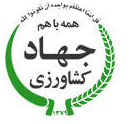 تصویر کوچک
